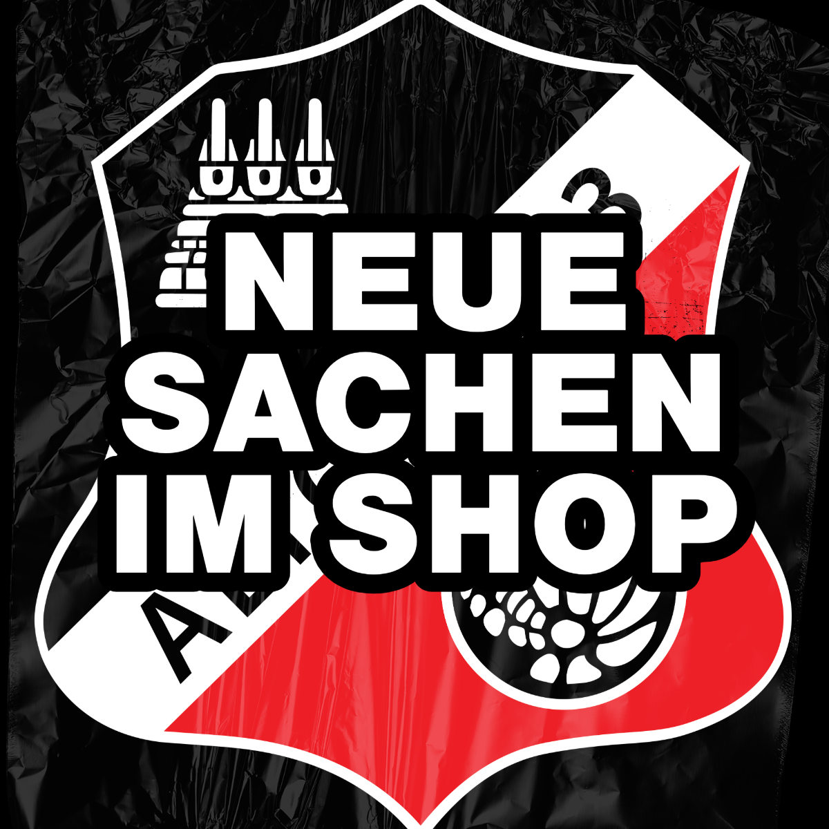 NEUE SACHEN