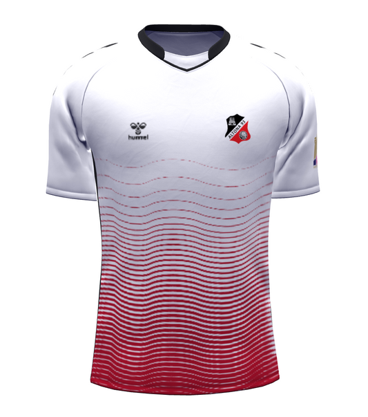 Special DHFC x AFC Trikot